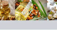 Aceite de maíz para freír: beneficios y secretos que no conocías