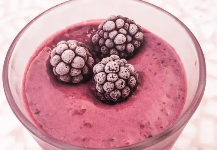Batido de frutos rojos congelados: receta fácil y nutritiva para ti